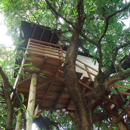Casa Na Arvore Сальвадор Экстерьер фото