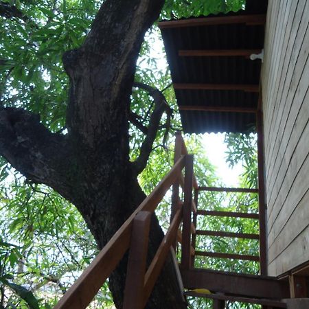 Casa Na Arvore Сальвадор Экстерьер фото