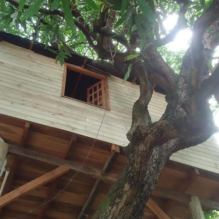 Casa Na Arvore Сальвадор Экстерьер фото