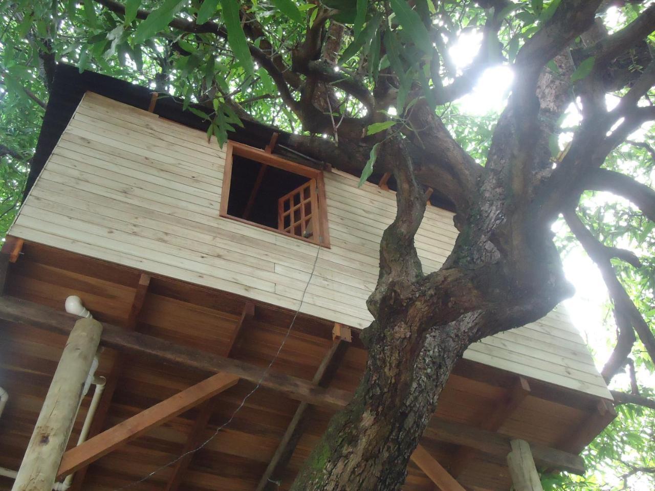 Casa Na Arvore Сальвадор Экстерьер фото